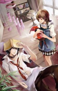宝珠二嫁